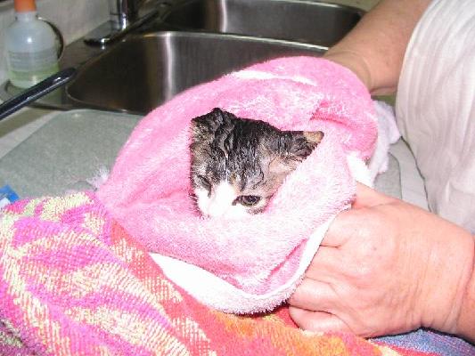 New Brunswick 2004 058.jpg